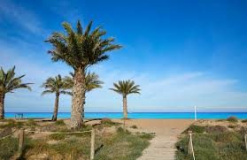 Playa de Las Marinas-Bolaga
