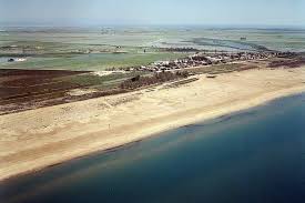 Playa de los Eucaliptos